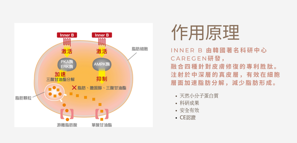 Inner B SE新一代胜肽消脂針 趕走眼袋, 雙下巴, 拜拜肉及其他頑固脂肪 Beauty Academy HK